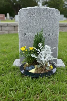 Jardin de plantes décoratif Jardin de plantes décoratif