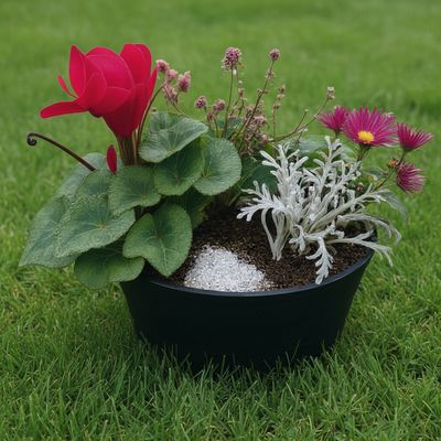 Jardin de plantes d'extérieur Jardin de plantes d'extérieur