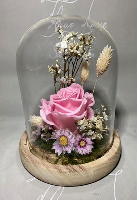 Rose éternelle rose sous globe