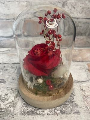 Roses rouges éternelles sous globe