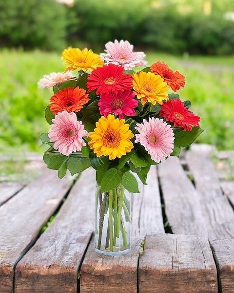 Gerbera Couleur – Bouquet de Gerberas Multicolores | Fleur Azur