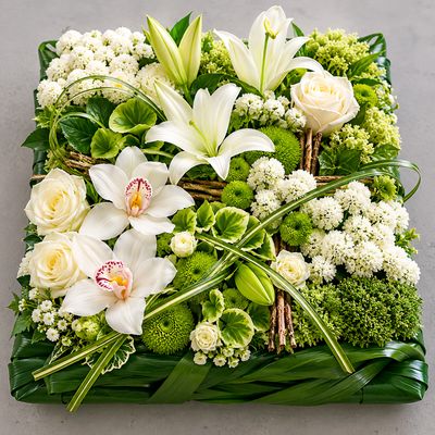 Coussin Carré Blanc et Vert – Hommage Nature à Saint-Sébastien-sur-Loire et Nantes Coussin Carré Blanc et Vert – Hommage Nature à Saint-Sébastien-sur-Loire et Nantes