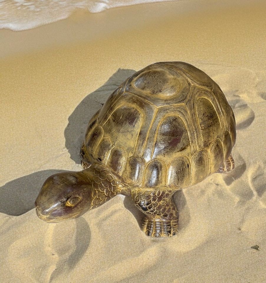 Tortue Géante en Terre Cuite 69 cm – Décoration Artisanale | Fleur Azur Nantes