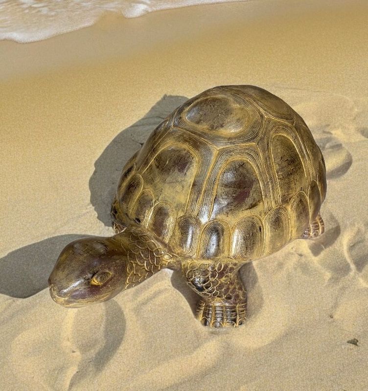 Tortue Géante en Terre Cuite 69 cm – Décoration Artisanale | Fleur Azur Nantes