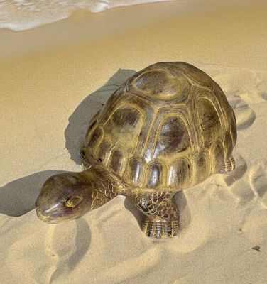 Tortue Géante en Terre Cuite 69 cm – Décoration Artisanale | Fleur Azur Nantes Tortue Géante en Terre Cuite 69 cm – Décoration Artisanale | Fleur Azur Nantes