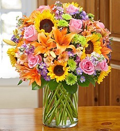 Brighten My Day