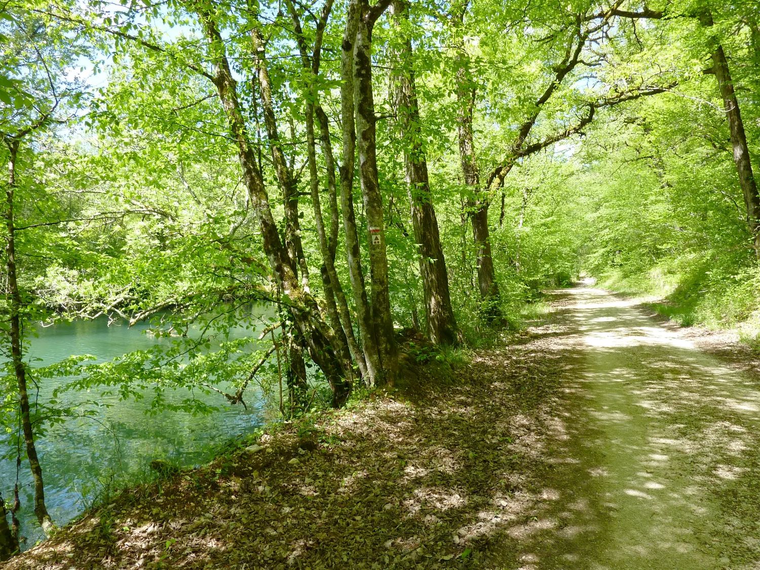 Retrait 9 jours - Randonnée, Méditation, Qi Gong - 20 au 28 juin 2026