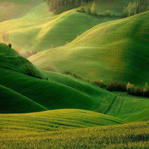 Verdes são od campos / José Afonso