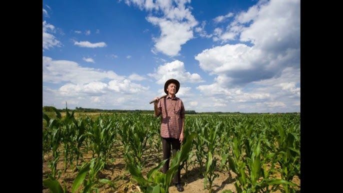 Zeca Afonso - Milho Verde