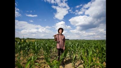 Zeca Afonso - Milho Verde