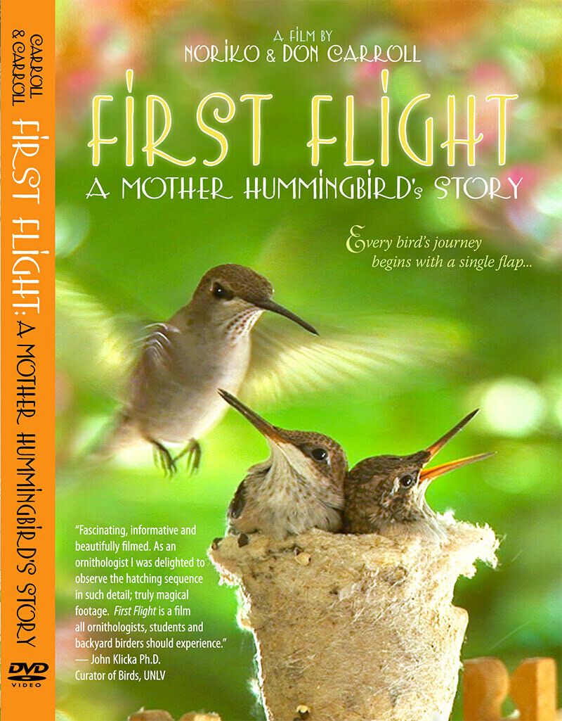 First Flight: A Mother Hummingbird&#39;s Story, DVD (English)