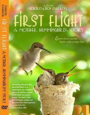 First Flight: A Mother Hummingbird&#39;s Story, DVD (English)
