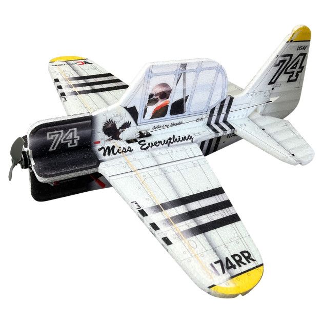 Cartoon Warbird-Texan