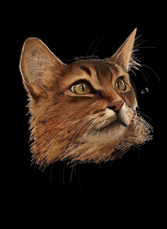 Drawing on the notes app pt.7