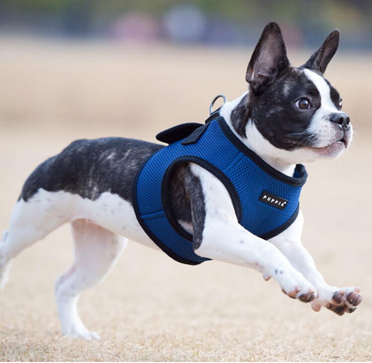 Puppia  Step In Harness