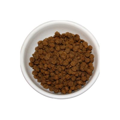 Dry Cat Food