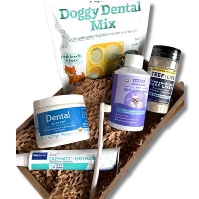 Dental Health