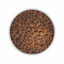 Dry Dog Food