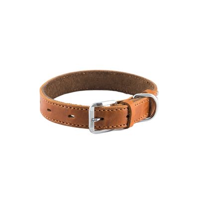 Collars And Leashes