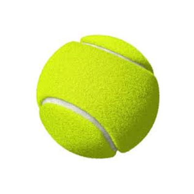 Dog Toys