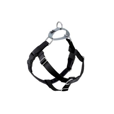 Harness
