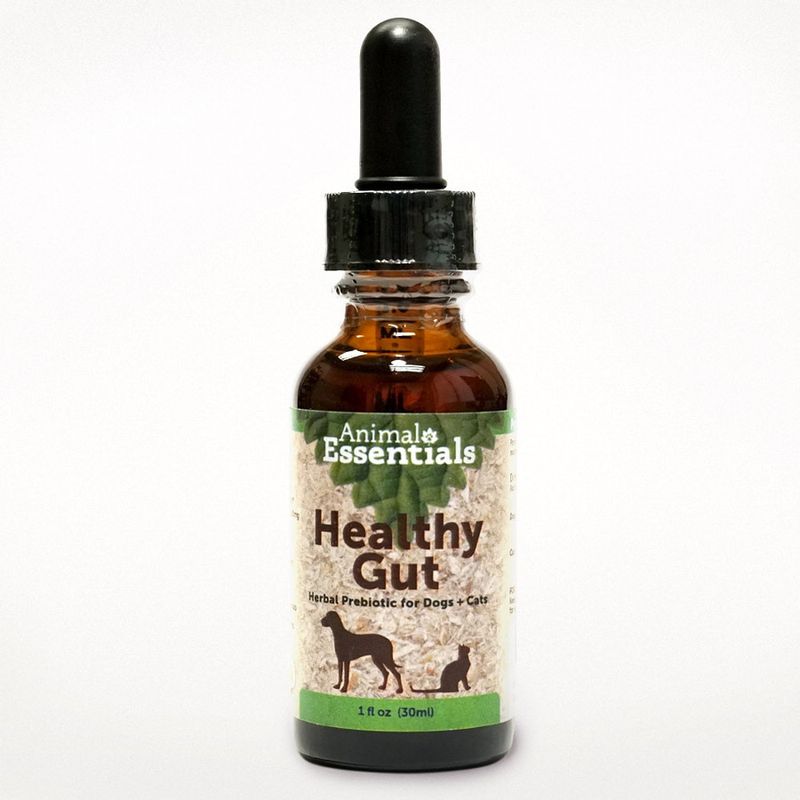 Animal Essentials Healthy Gut