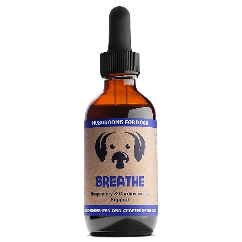 MycoDog Mushroom Tinctures, Size: 2  oz., Type: Breathe