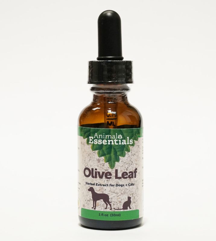 Animal Essentials Olive Leaf