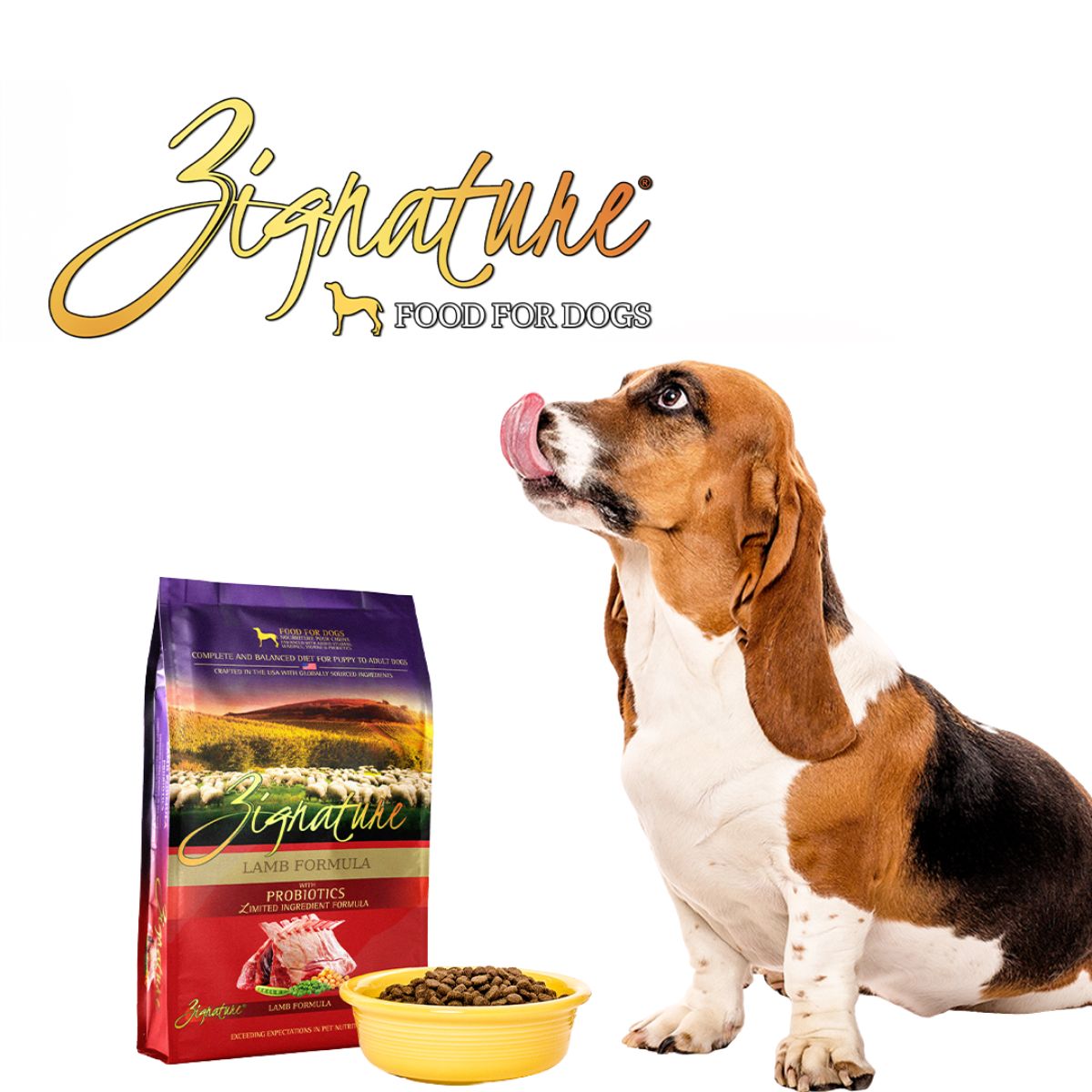 Zignature Dry Dog Food