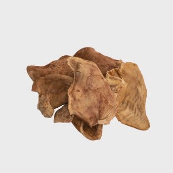 Eavesdropper Pig Ear