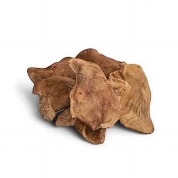Eavesdropper Pig Ear