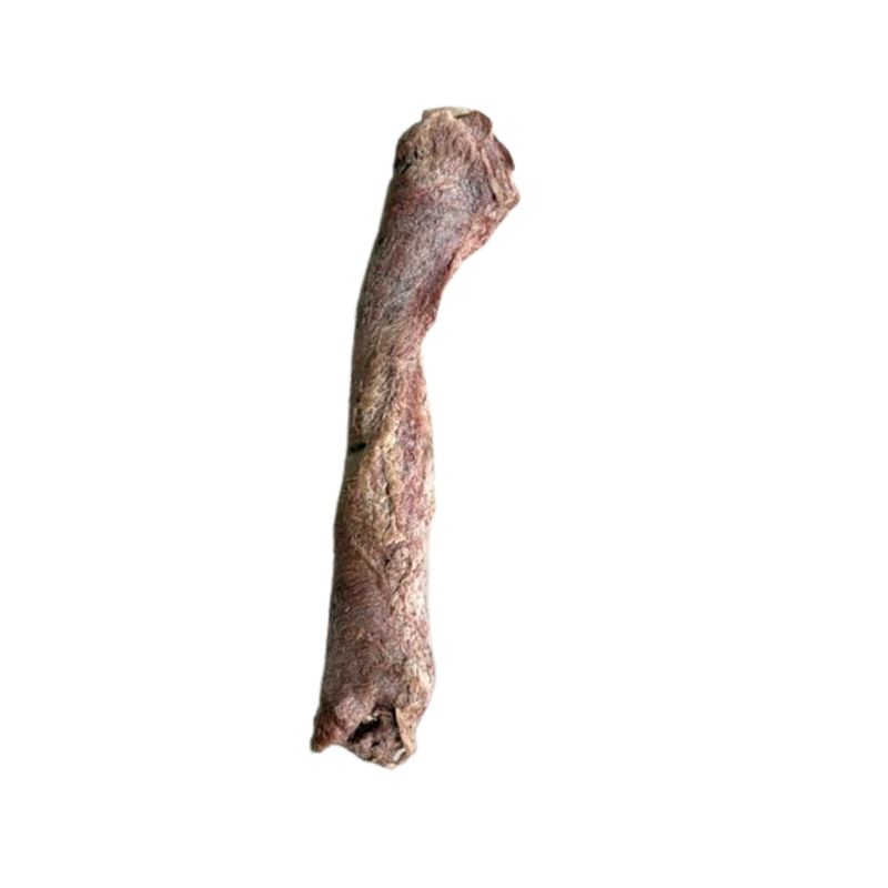 Grazer