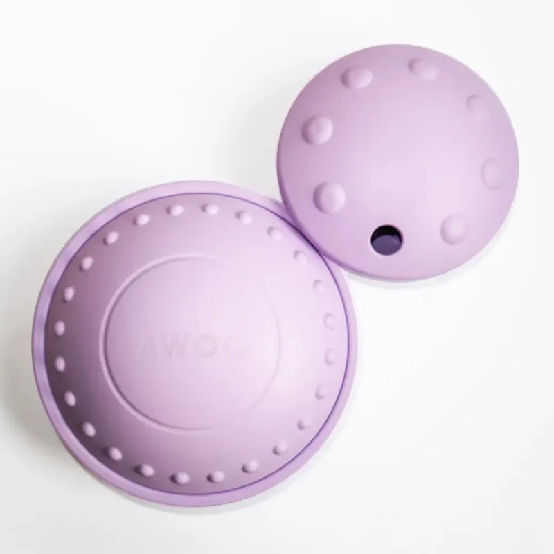 Awoo Flying Saucer Treat Puzzle