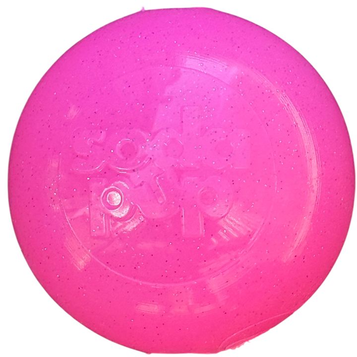Glitter Ball  Dog Toy