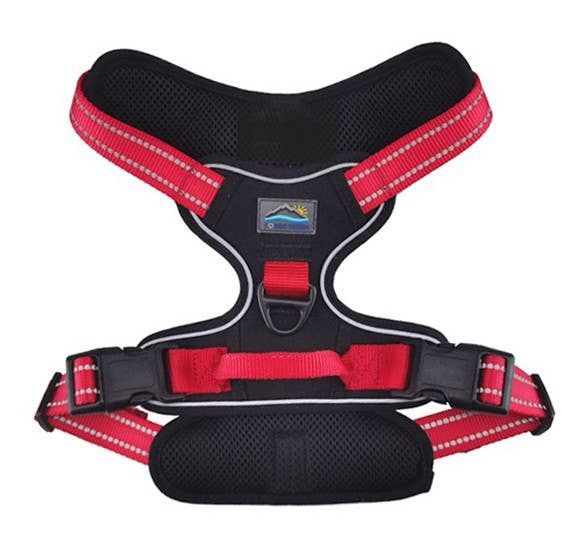 Venture Paw Pull Control Dog Harness - Black Cherry