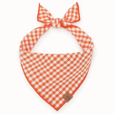 Cider Gingham Dog Bandana