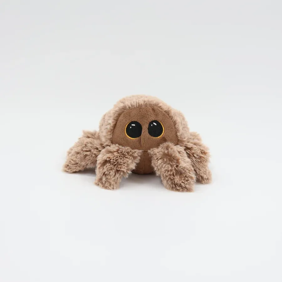 Pricklet Hairy Spider