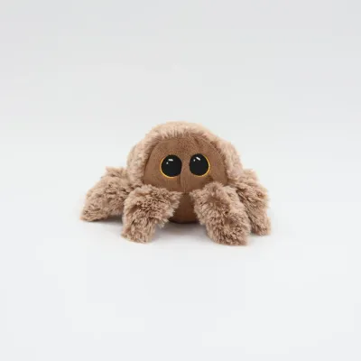 Pricklet Hairy Spider