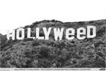 Hollyweed Poster