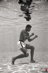 Muhammad Ali - poster