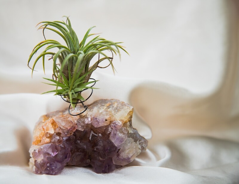 Crystal Air Plant Holder