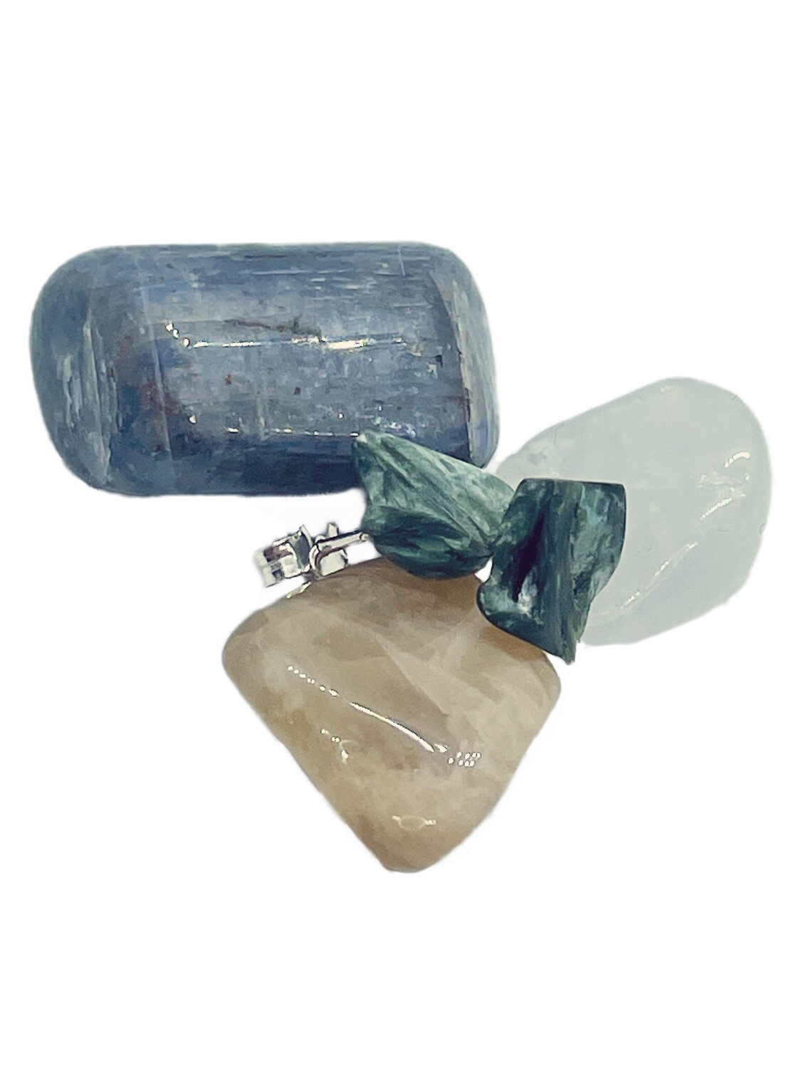Shell Earrings