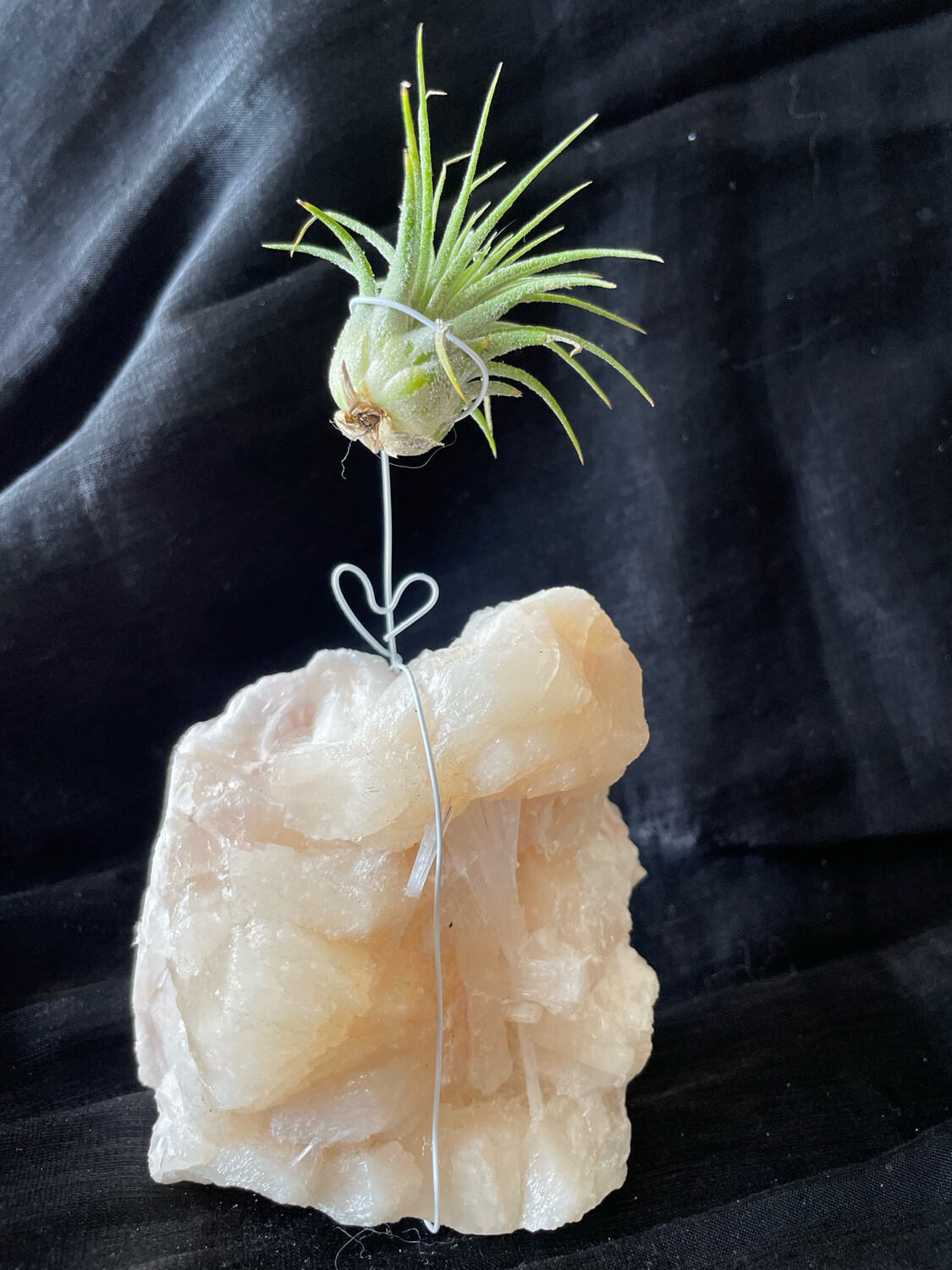 Crystal Air Plant Holder