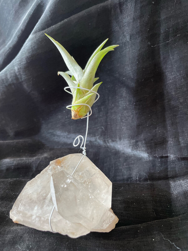 Crystal Air Plant Holder