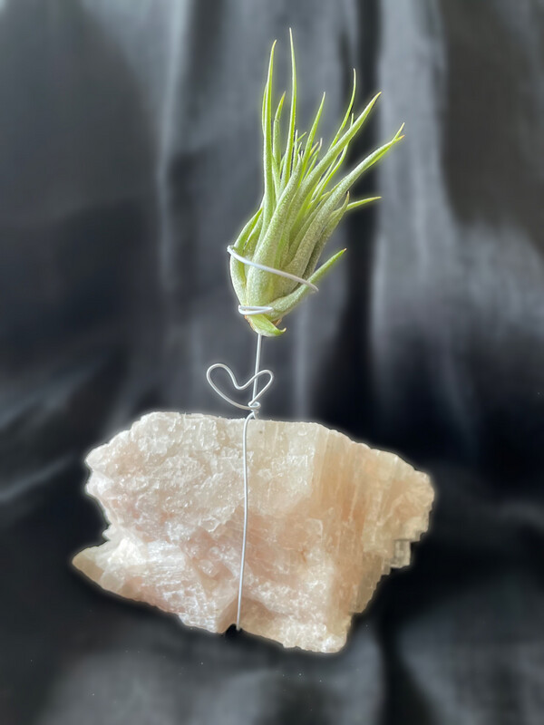 Crystal Air Plant Holder - Raw Rose Quartz