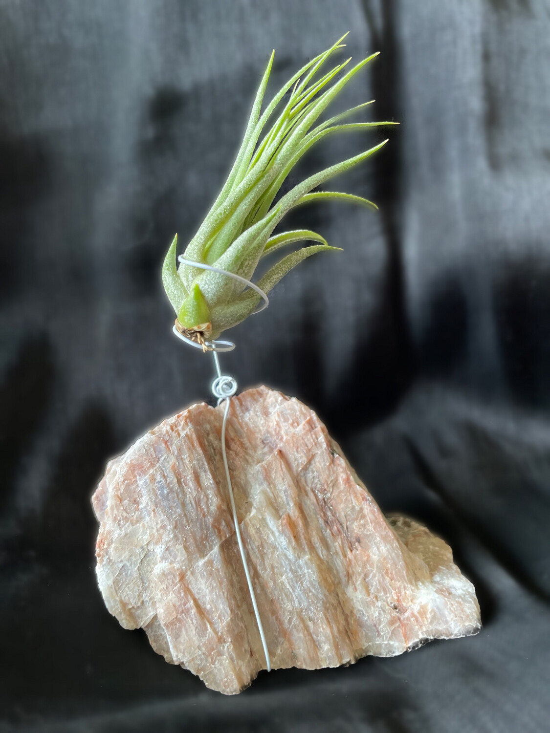 Crystal Air Plant Holder - Raw Sunstone