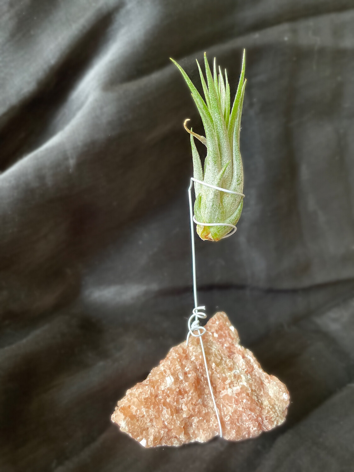Crystal Air Plant Holder