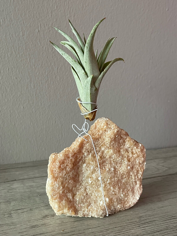 Crystal Air Plant Holder