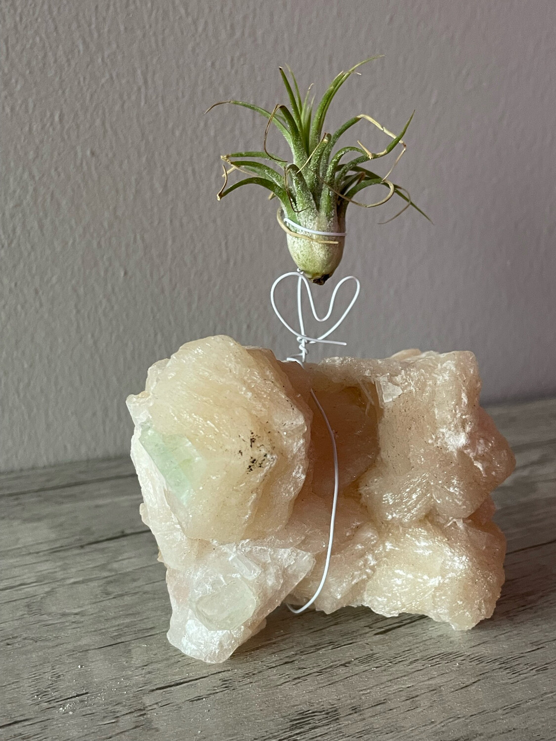 Crystal Air Plant Holder
