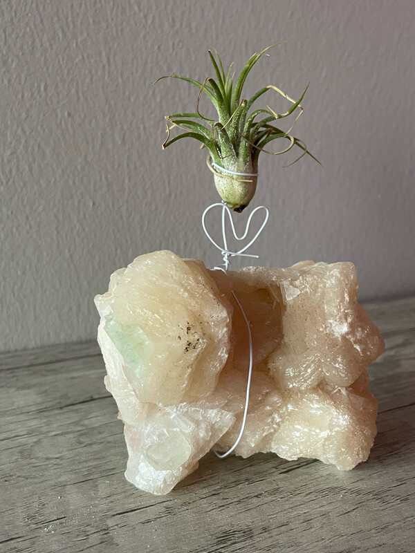 Crystal Air Plant Holder